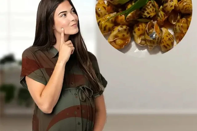 ¿Embarazadas pueden comer caracoles en 3 meses? Precauciones
