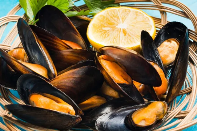 Muscheln – Können Schwangere Muscheln essen? 5 Vollständiger
