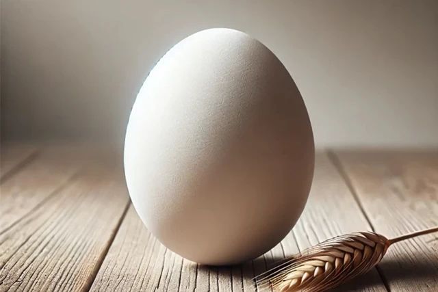 孕妇什么时候应该吃鹅蛋?鹅蛋的7大好处 孕妇什么时候应该吃鹅蛋?鹅蛋的7大好处