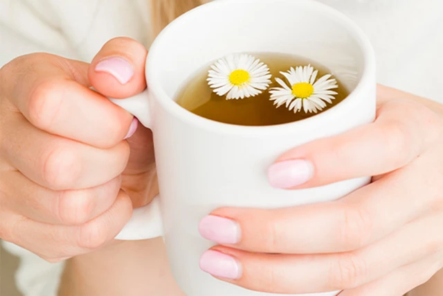 孕婦可以喝洋甘菊茶嗎？懷孕期間飲用洋甘菊茶的益處、風險及專家建議的6大綜合指南