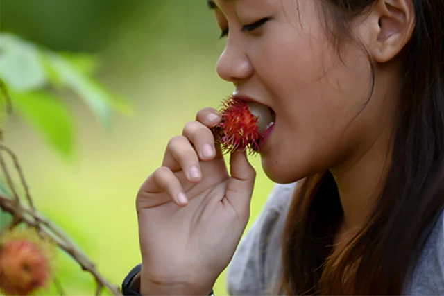 孕婦可以吃紅毛丹嗎?紅毛丹的8大好處 孕婦可以吃紅毛丹嗎?紅毛丹的8大好處