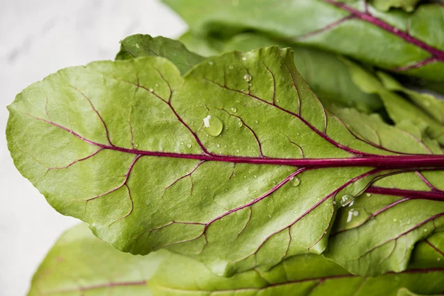 ¿Embarazadas pueden comer amaranto? 7 beneficios clave