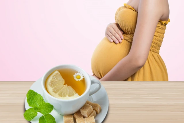  ¿Es Seguro Beber Té de Menta en el Embarazo? 8 Claves