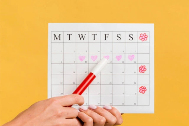 Calculate Ovulation Date to Get Pregnant: 8 Instructions