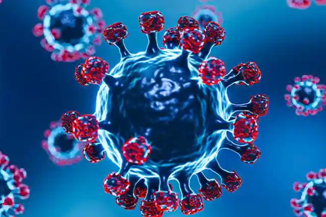 Pregnant Women and Parvovirus B19