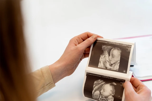 12 causes of birth defects in the fetus