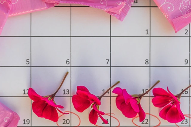 When Is Conception Possible: Before or After Your Period?