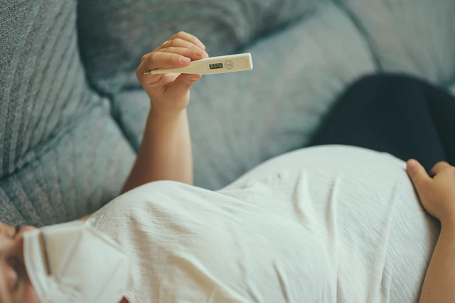 Basal Body Temperature During Early Pregnancy