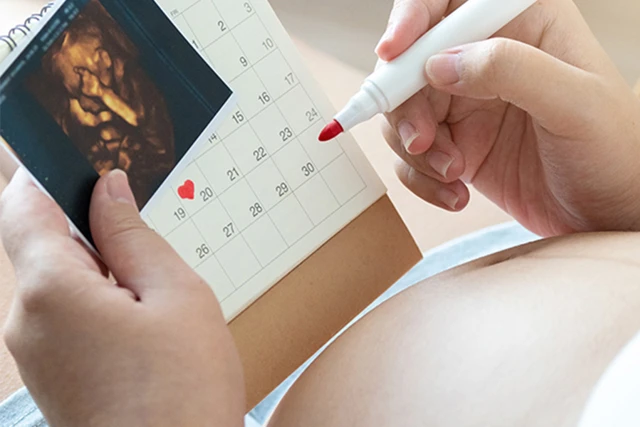 Primeiros 3 Meses de Gravidez: Coisas a Saber e a Observar