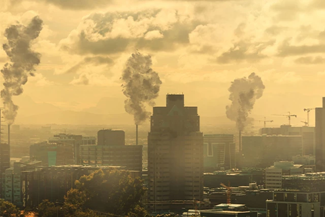 5 effets de l'environnement sur le fœtus