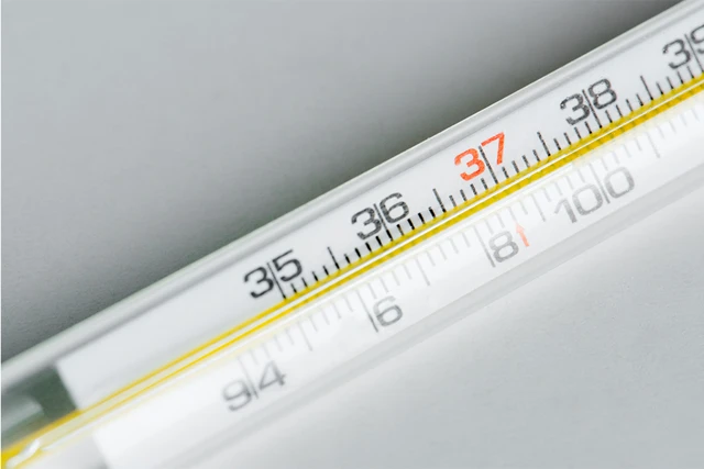 Temperatura corporal durante o início da gravidez: 3 formas